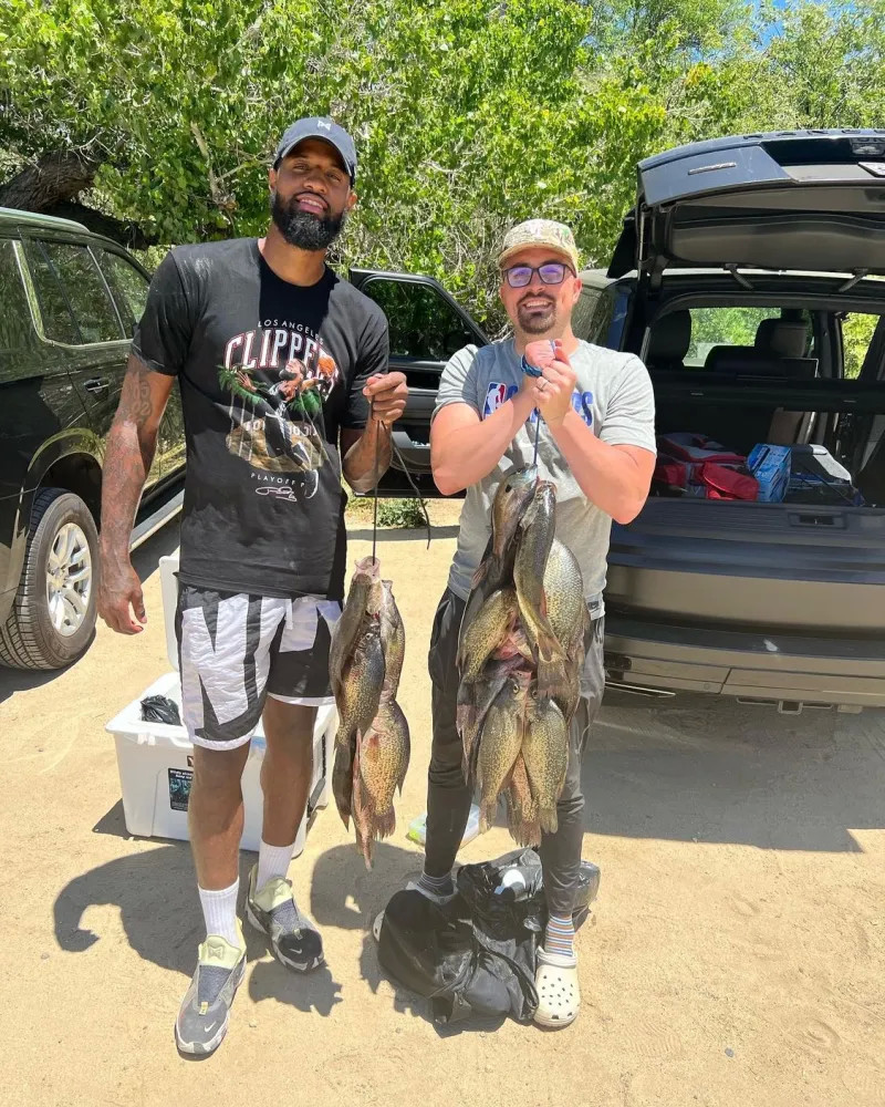 能参与到一 能参与到一